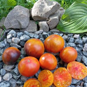 IMMUNE Р-20 (ІМУННИЙ Р-20)