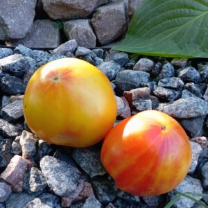 Märchenfrucht (Казковий фрукт)