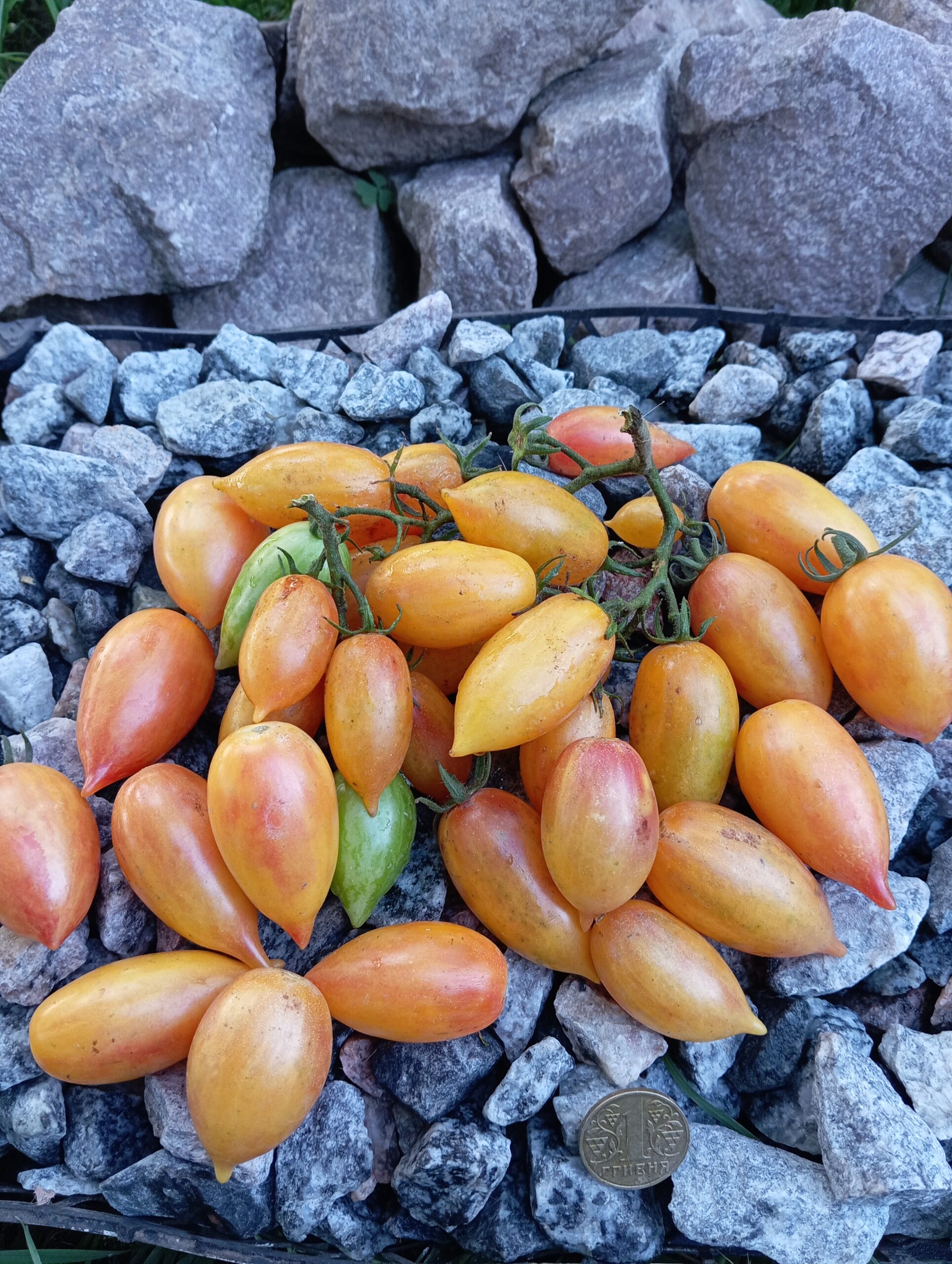 Казкова магія (Märchenzauber), Німеччина