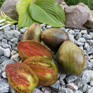 EMERALD CARAMEL ELENA (Смарагдова карамель ОЛЕНИ)