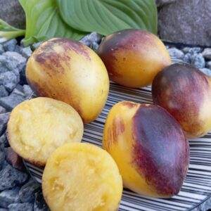 Blues on a Platter (БЛЮЗ НА БЛЮДІ)