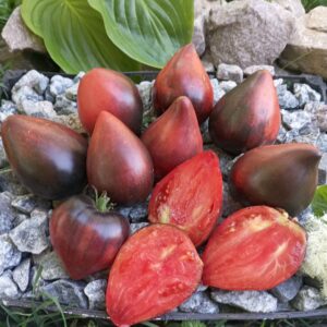 Чорна магія