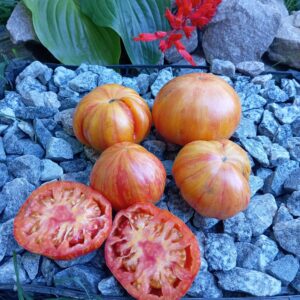 Pineapple Pig (Ананасне Порося)