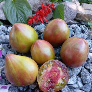 Pineapple heart (Сердце ананасне)