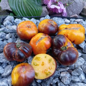 Rainbow Spray (БРИЗКИ ​​РАДУГИ)