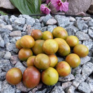 Emerald (Смарагд)