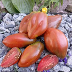 CRESTA DI FUOCO (ГРЕБІНЬ ШОКОЛАДНИЙ)