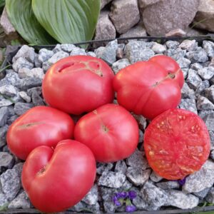 Dwarf Strawberry Lemonade (Гном Полуничний лимонад)