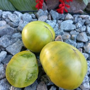 Dwarf Grinch (Гном Грінч)