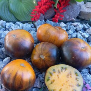 Охриста венера (назва УМОВНА)