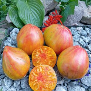 CARDINAL ON STRAW (КАРДИНАЛ НА СОЛОМІ)