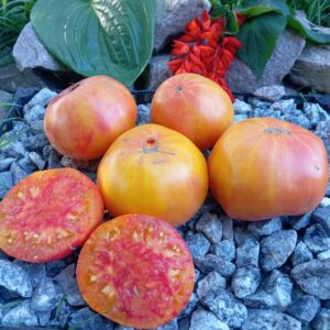 Загадка природи