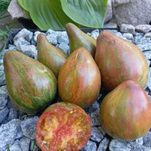 Marmalade Temptation (Мармеладна спокуса)