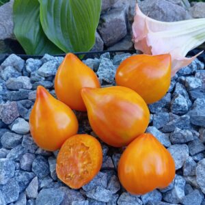 Tante Gretels Magische Hüte (Чарівні капелюхи ТІТОНЬОКИ ГРЕТЕЛЬ)