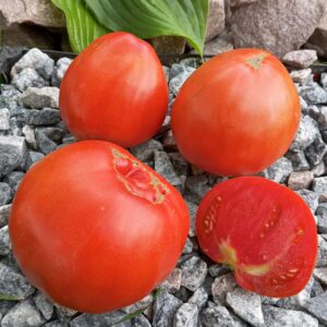 Belmonte Cuore (БЕЛЬМОНТЕ ЧЕРВОНИЙ)