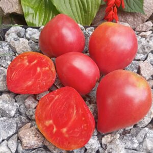 куполи волгоградської Софії