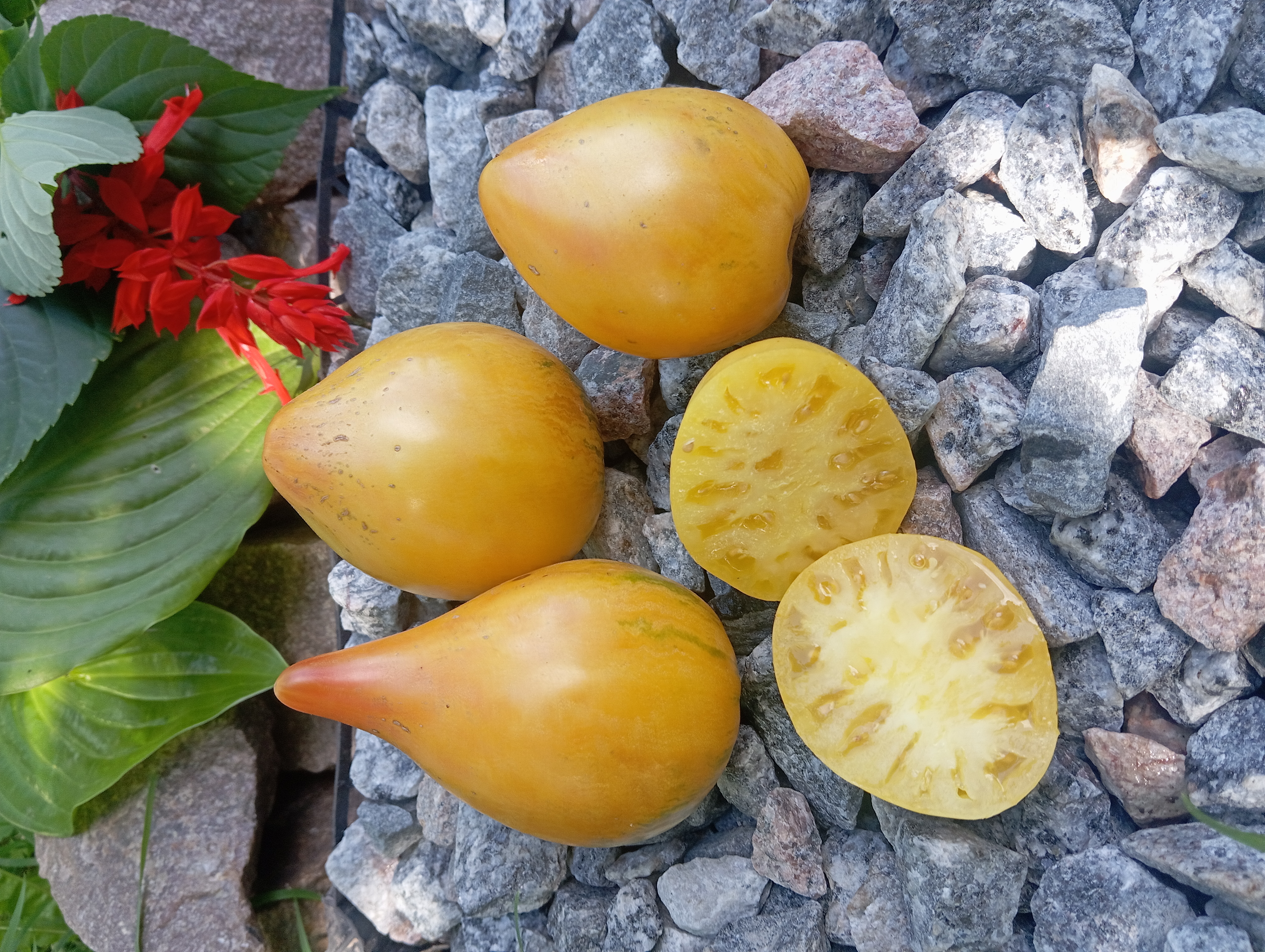 Rebel Starfighter VT16 Yellow (ЗІРКОВИЙ ВИНИЩУВАЧ ПОВСТАНЦІВ VT16 Жовтий)