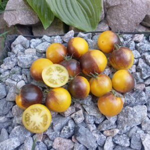 Шоколадный мармелад