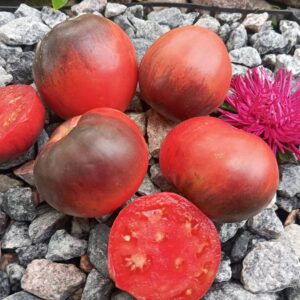 Grandfather's honey (Дідусевий мед)