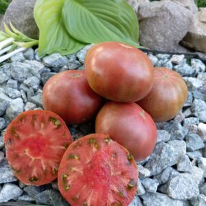 Dwarf Blue's Bling (Гном Блакитні брязкальця)