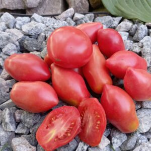 DWARF DESPERADO (ГНОМ ДЕСПЕРАДО)