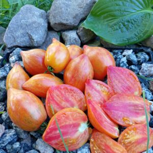 Temptation ( Спокуса)