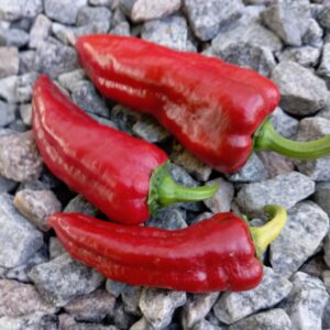 Хрещений батько